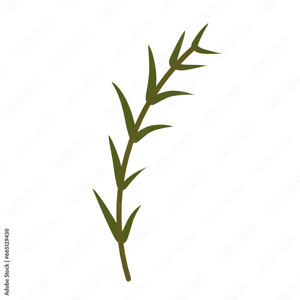 Botanical leaves. Leaf branch. Botanical leaves. Leaf branch.