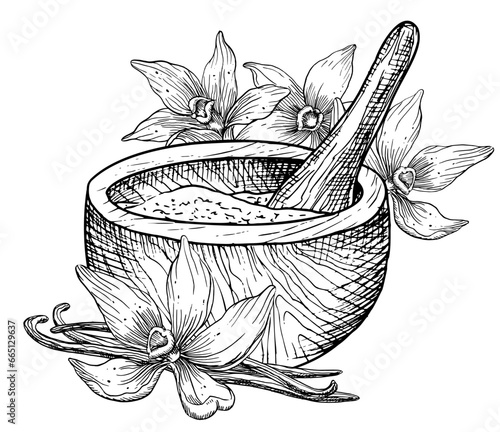 Vanilla with Mortar and Pestle. Hand drawn vector illustration of Flowers and retro wooden utensils in white and black colors. Linear drawing of herbs for alternative medicine or natural cosmetic.