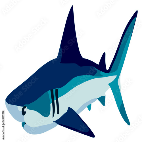 Blue Shark