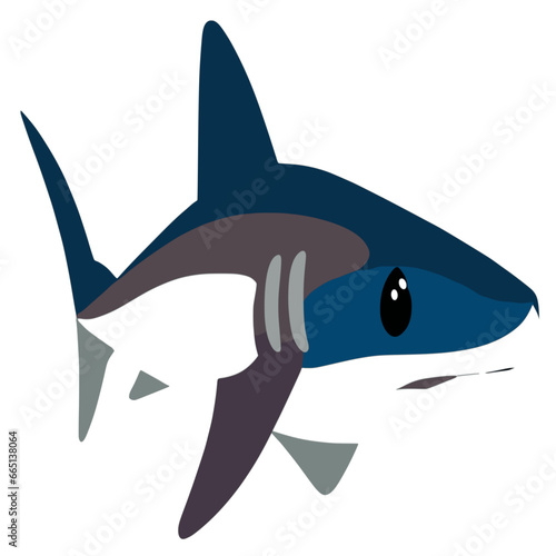 Thin Blue Shark