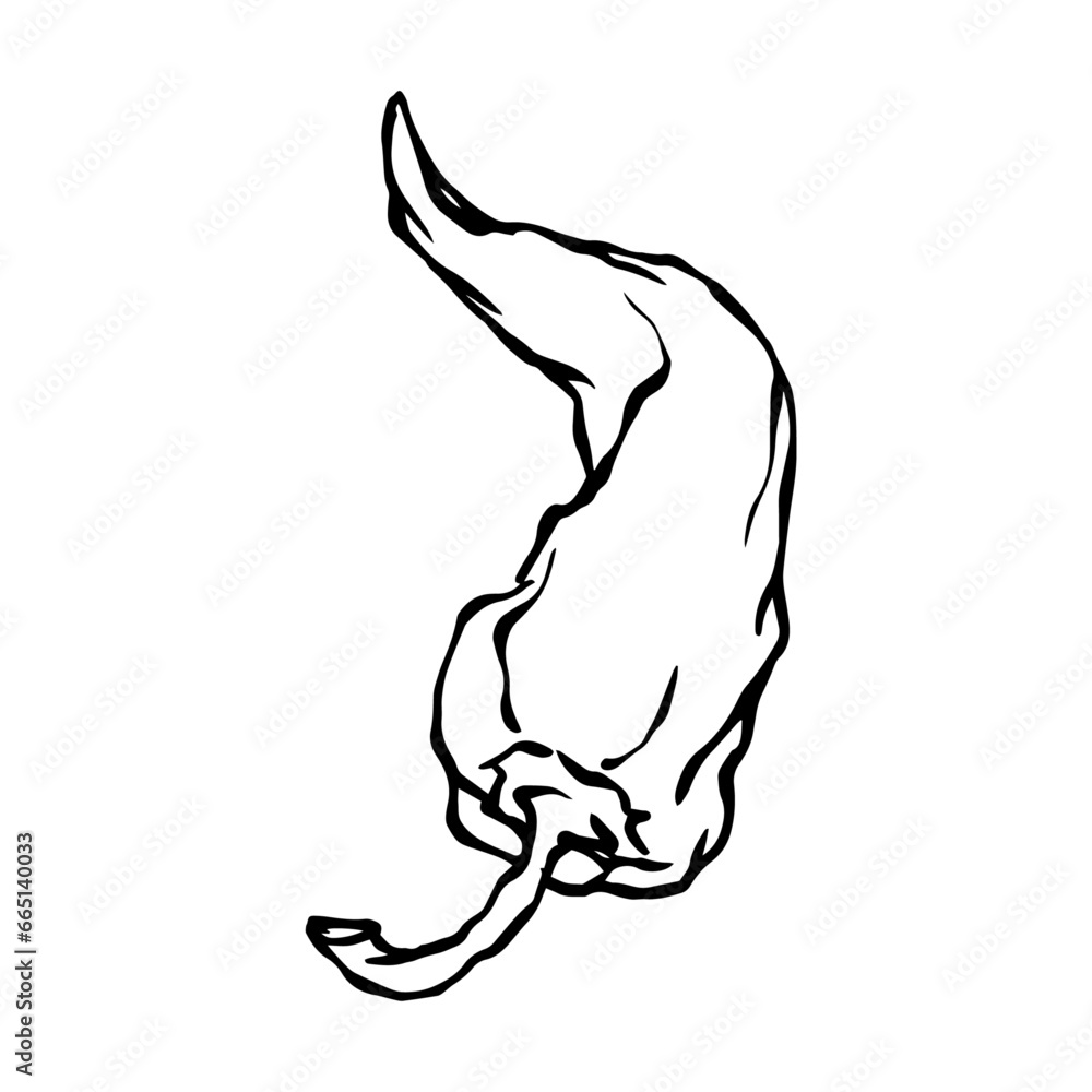 Doodle of hot chili pepper pod.Vector graphics. Doodle of hot chili pepper pod.Vector graphics.