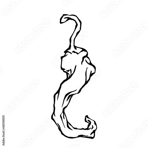Doodle of hot chili pepper pod.Vector graphics.