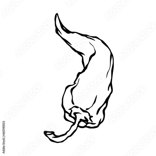 Doodle of hot chili pepper pod.Vector graphics.