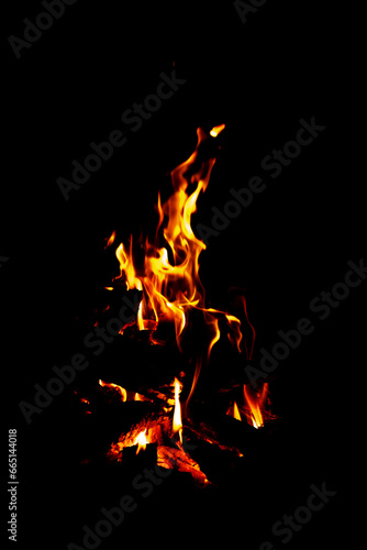 Fire flames on black background. Burning wood at night, Campfire.