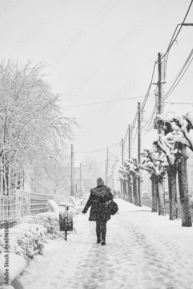 landscape with people in the streets in winter 2