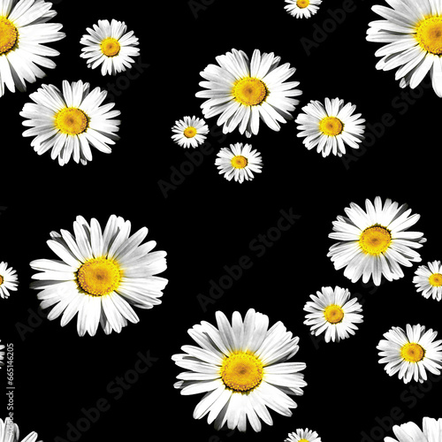 Seamless daisy flowers  floral pattern  white flowers pattern.