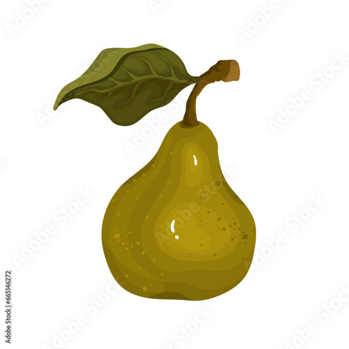 Ripe, juicy pear fruits. Vector graphics.