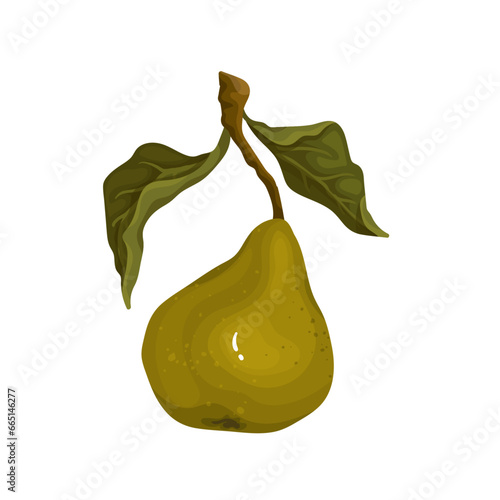 Ripe, juicy pear fruits. Vector graphics.