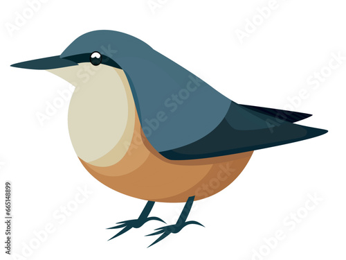 Algerian nuthatch bird vector illustration , Kabyle nuthatch , Algeria National bird ,Sitta ledanti flat style vector image