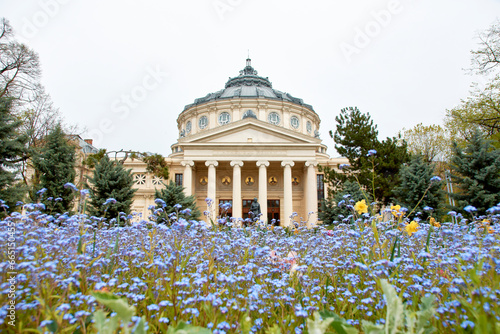 The Romanian Athenaeum in Bucharest in the spring