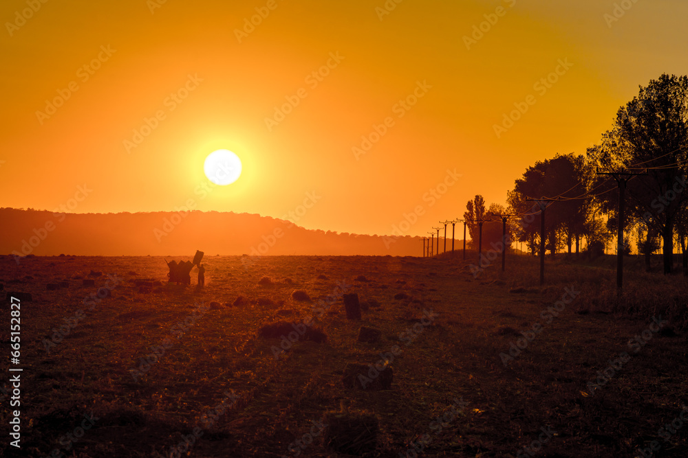 farmer in the field gathering grass farmer in the field gathering grass