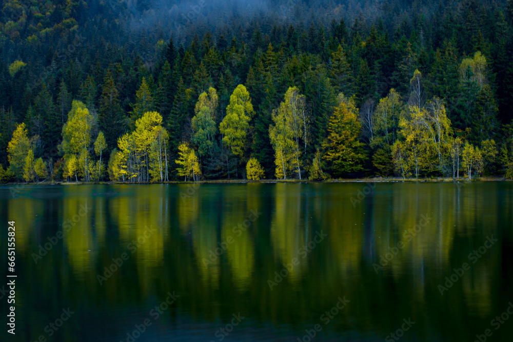 reflections with forest in autumn lake, Sf Ana lake
