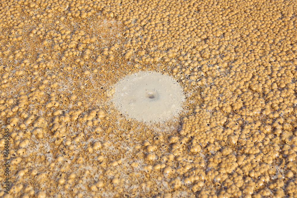 cones of mud volcanoes from which rivers of mud flow