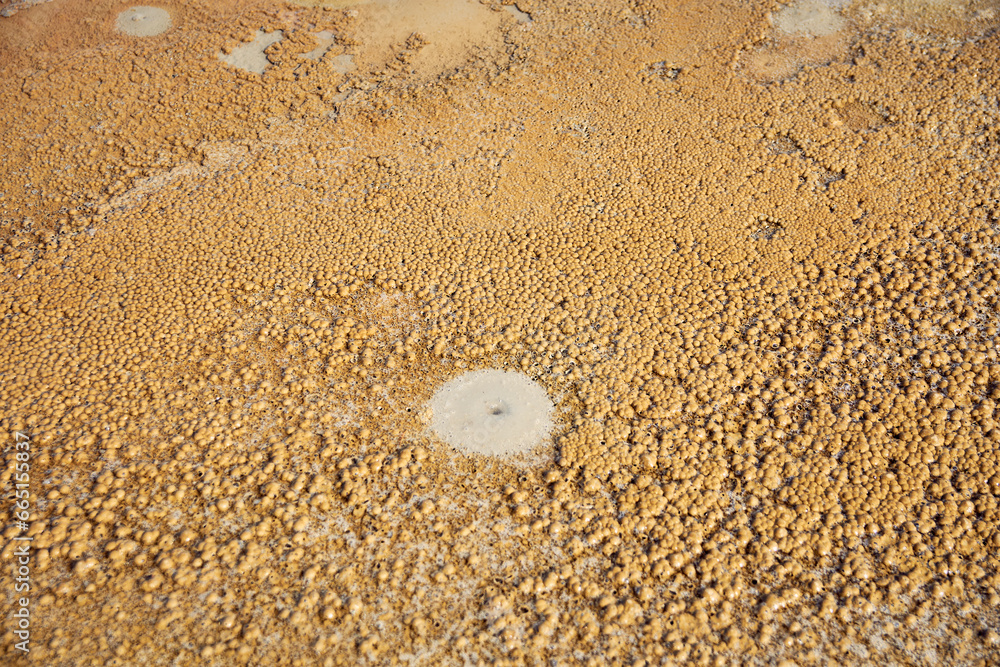 cones of mud volcanoes from which rivers of mud flow