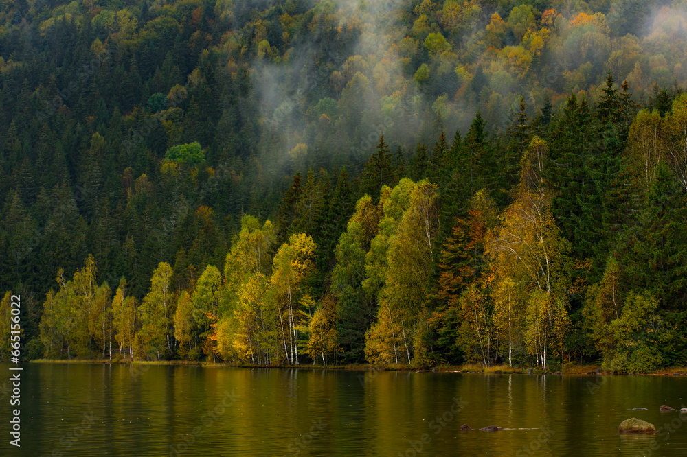 reflections with forest in autumn lake, Sf Ana lake