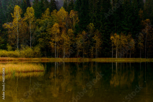 Obraz na płótnie reflections with forest in autumn lake, Sf Ana lake w salonie