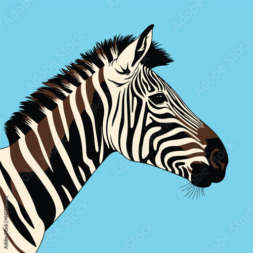 Zebra, striped horse, African savannah animal, cartoon vector