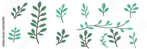 Cartoon Simple Twigs with Green Leaves on Transparent Background, Flat Vector Illustration