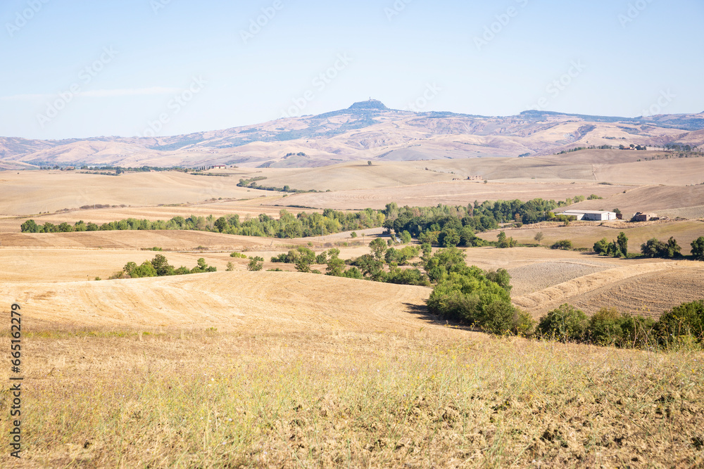 summer landscape - Radicofani on top of the hill, province of Siena, Tuscany, Italy