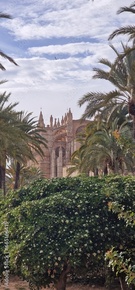 timeless beauty of Mallorca Cathedral, also known as La Seu, with this stunning photograph. The magnificent Gothic architecture of this iconic religious landmark, combined with its stunning location o