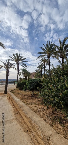 timeless beauty of Mallorca Cathedral, also known as La Seu, with this stunning photograph. The magnificent Gothic architecture of this iconic religious landmark, combined with its stunning location o