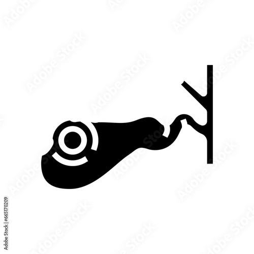 gallbladder check gastroenterologist glyph icon vector. gallbladder check gastroenterologist sign. isolated symbol illustration