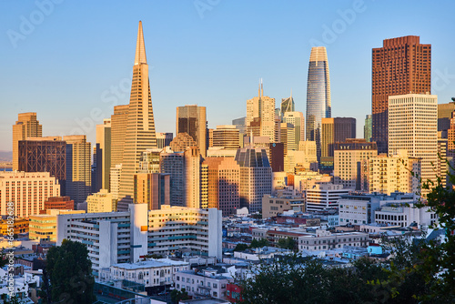 Fotografie Soft golden light on San Francisco skyscrapers with light fading from inner city
