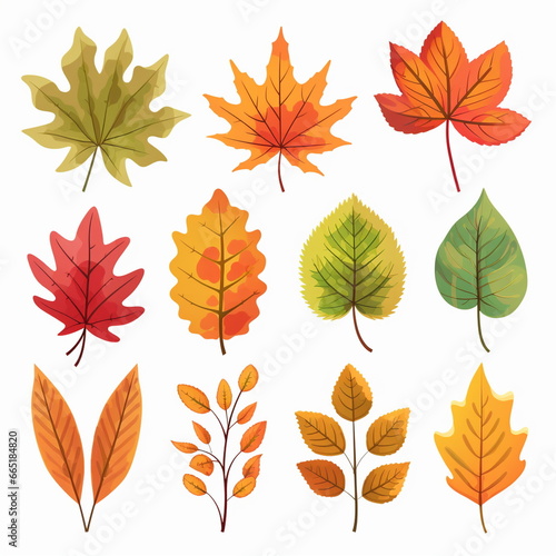 Sketch of different types of leaves in autumn