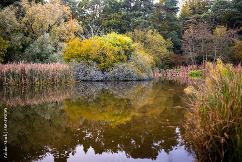 Fotografía autumn in the Kennedy Park, New Ross