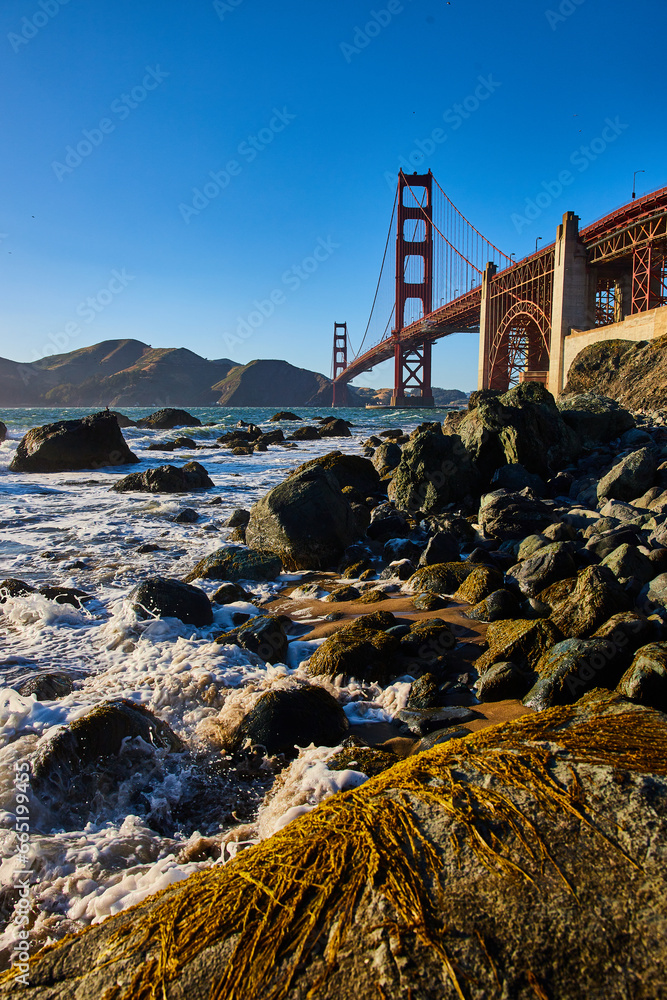 Mossy rock on rocky beach with seafoam and Golden Gate Bridge in background