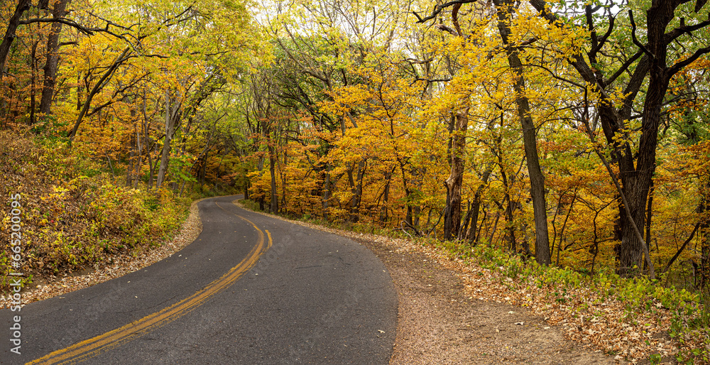 Obraz premium beautiful trees with autumn colors along a winding road