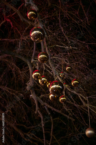 Trees on the harbor at the Christmas market are decorated with golden Christmas tree balls. Constance  Konstanz   Lake Constance  Bodensee   Baden-W  rttemberg  Germany.