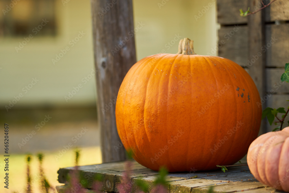 Pumpkins on the table. Halloween mood. Pumpkins on the table. Halloween mood.