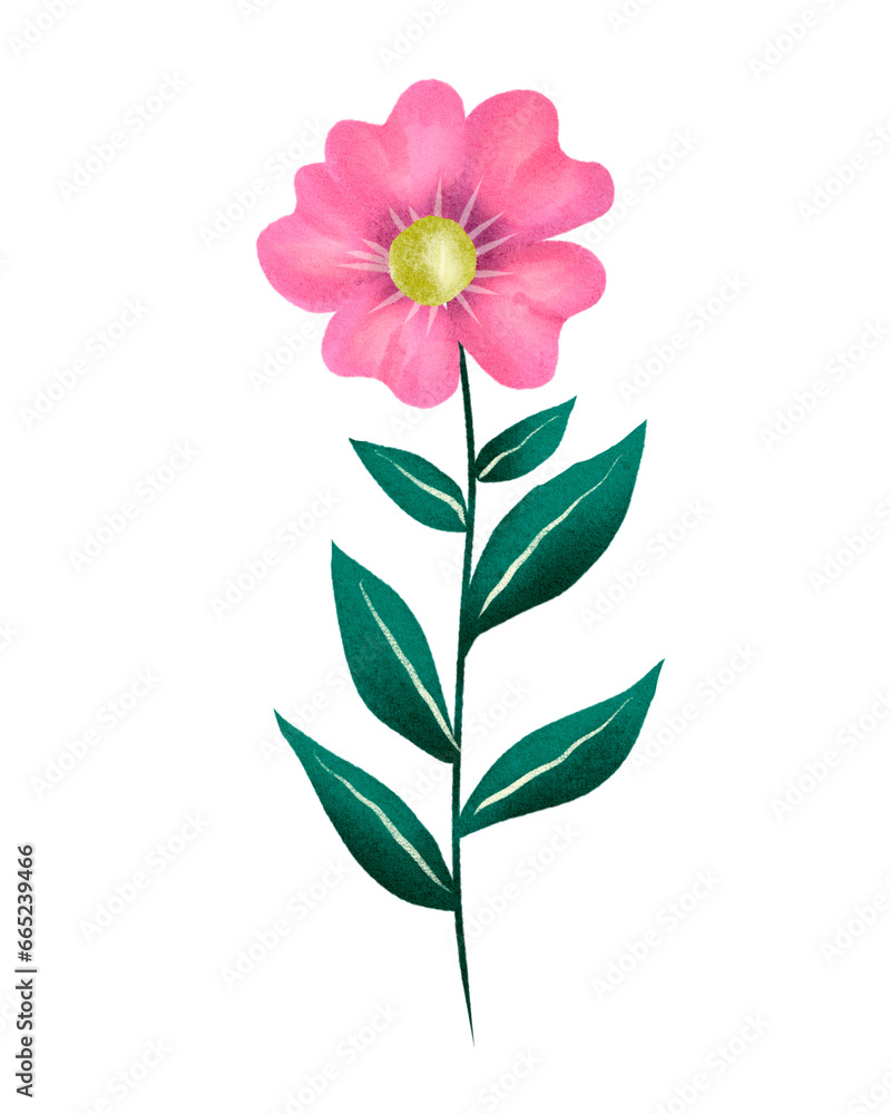 Beautiful flower set Beautiful flower set