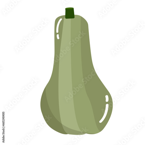 Cartoon green pumpkin vector illustration for autumn, halloween or thanksgiving