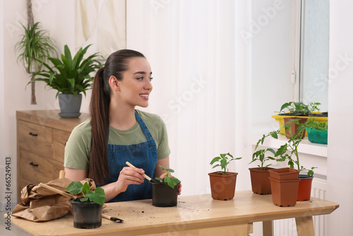 Happy woman planting seedling into pot at wooden table in room, space for text