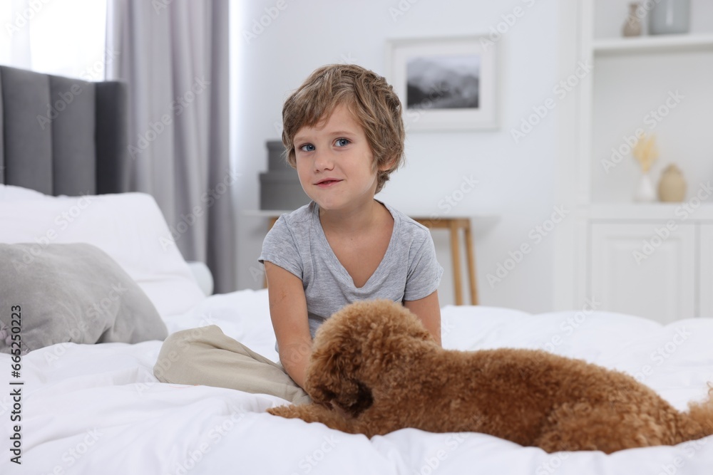 Little child and cute puppy on bed at home. Lovely pet Little child and cute puppy on bed at home. Lovely pet