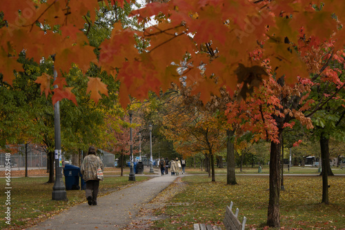 Trinity Bellwoods Park  photo