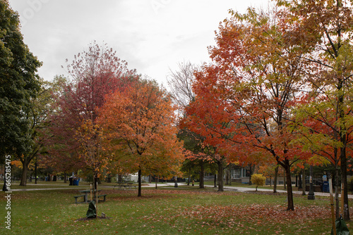 Trinity Bellwoods Park  photo