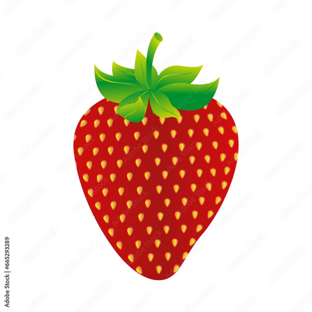 Vector hand drawn strawberry fruit illustration Vector hand drawn strawberry fruit illustration