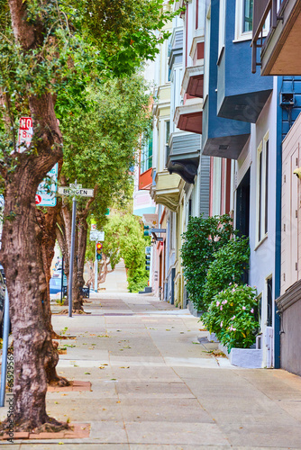 Photography Trees lining uphill sidewalk with pastel colored entrances to residential buildi