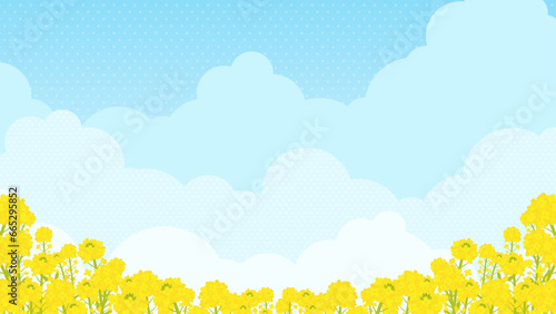 満開の菜の花と青空の風景（横向き16:9）
