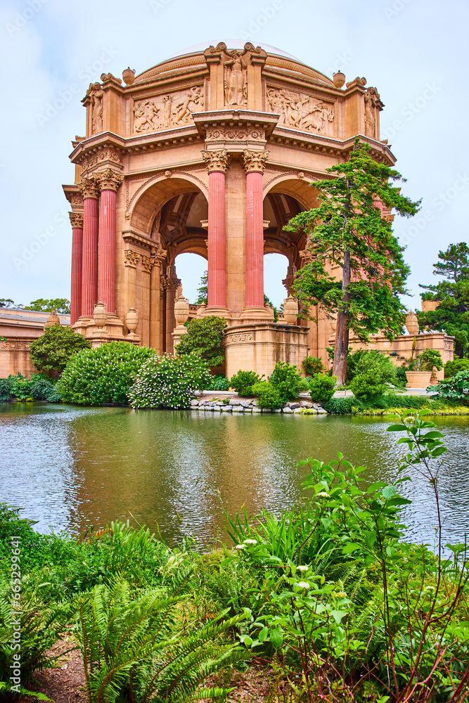 Palace of Fine Arts open rotunda behind Lagoon with giant sycamore tree
