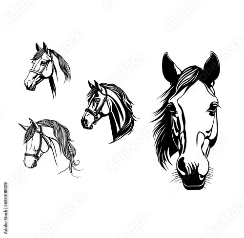 Horse Heads, Transparent Horse Head Set, Vector Horse Head Set