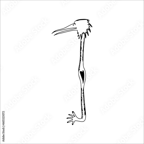 vector illustration of bird with legs concept