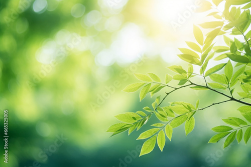 Nature background with fresh leaves on tree and blurry background with sunlight and bokeh