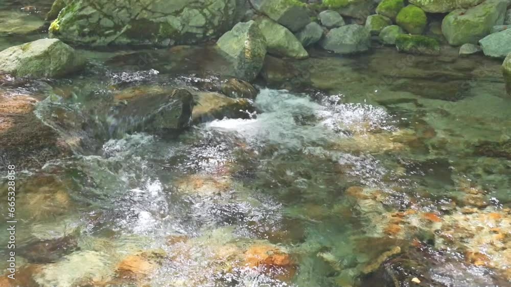 山の中の清流 山の中の清流