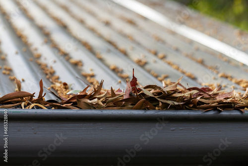 Gutter of house full of leaves creating fire hazard