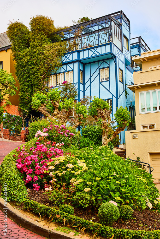 Colorful plants on Lombard Street hill with blue house in middle and two yellow houses