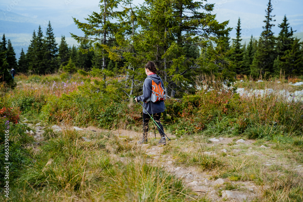 Girl walking on a trail in the forest, mountain hiking, walking in the forest, spruce trees, backpack on her back, hiking alone.